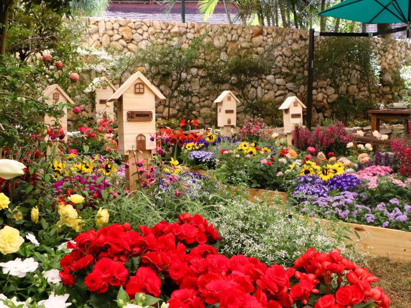 Expoflora utiliza mais de 200 mil vasos de flores na exposição e nos jardins para receber visitantes